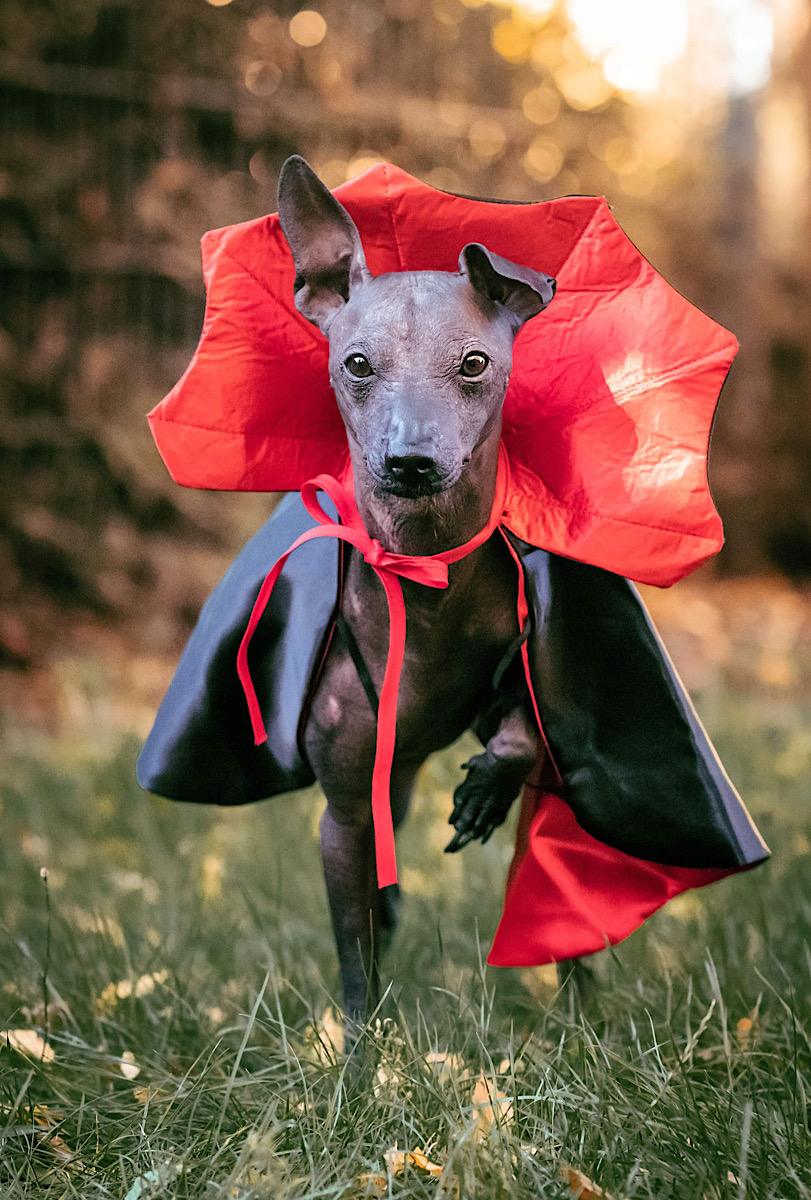 Začínal to být tradice :-)