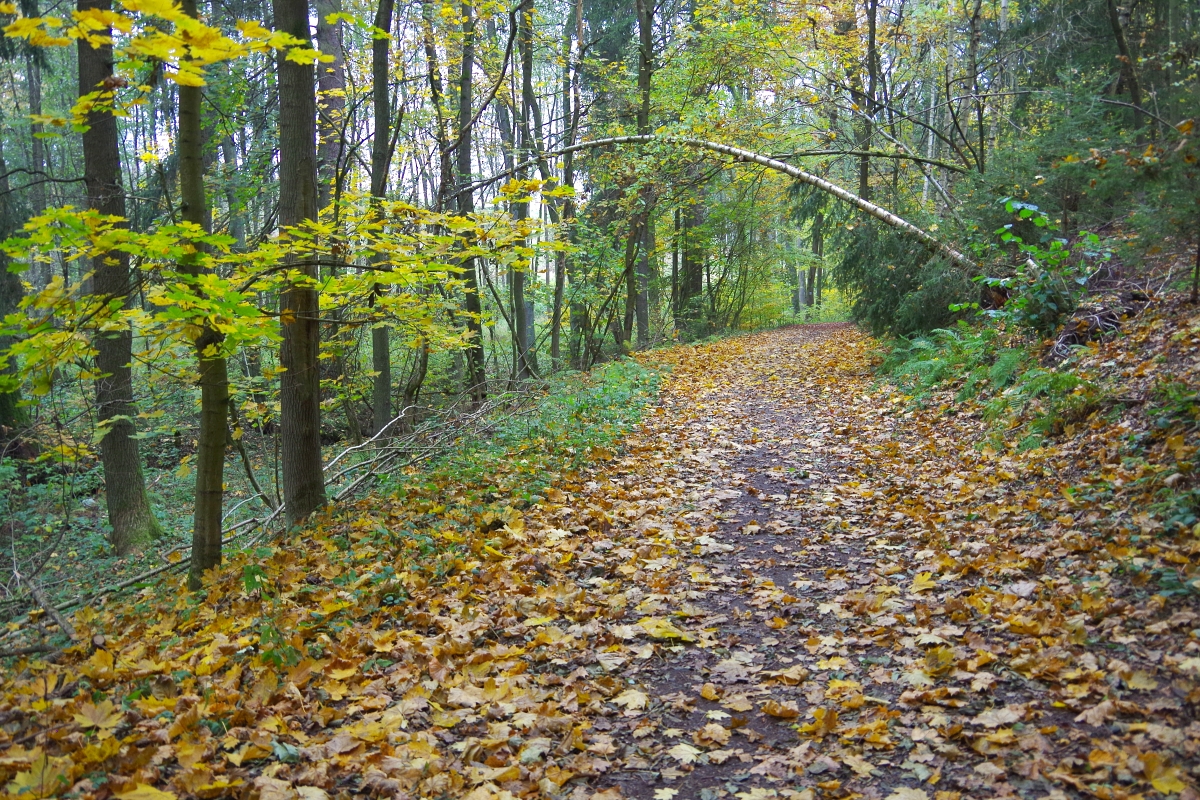 Podzimní přírodou