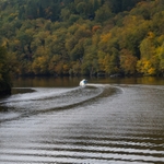 Svatojánské proudy