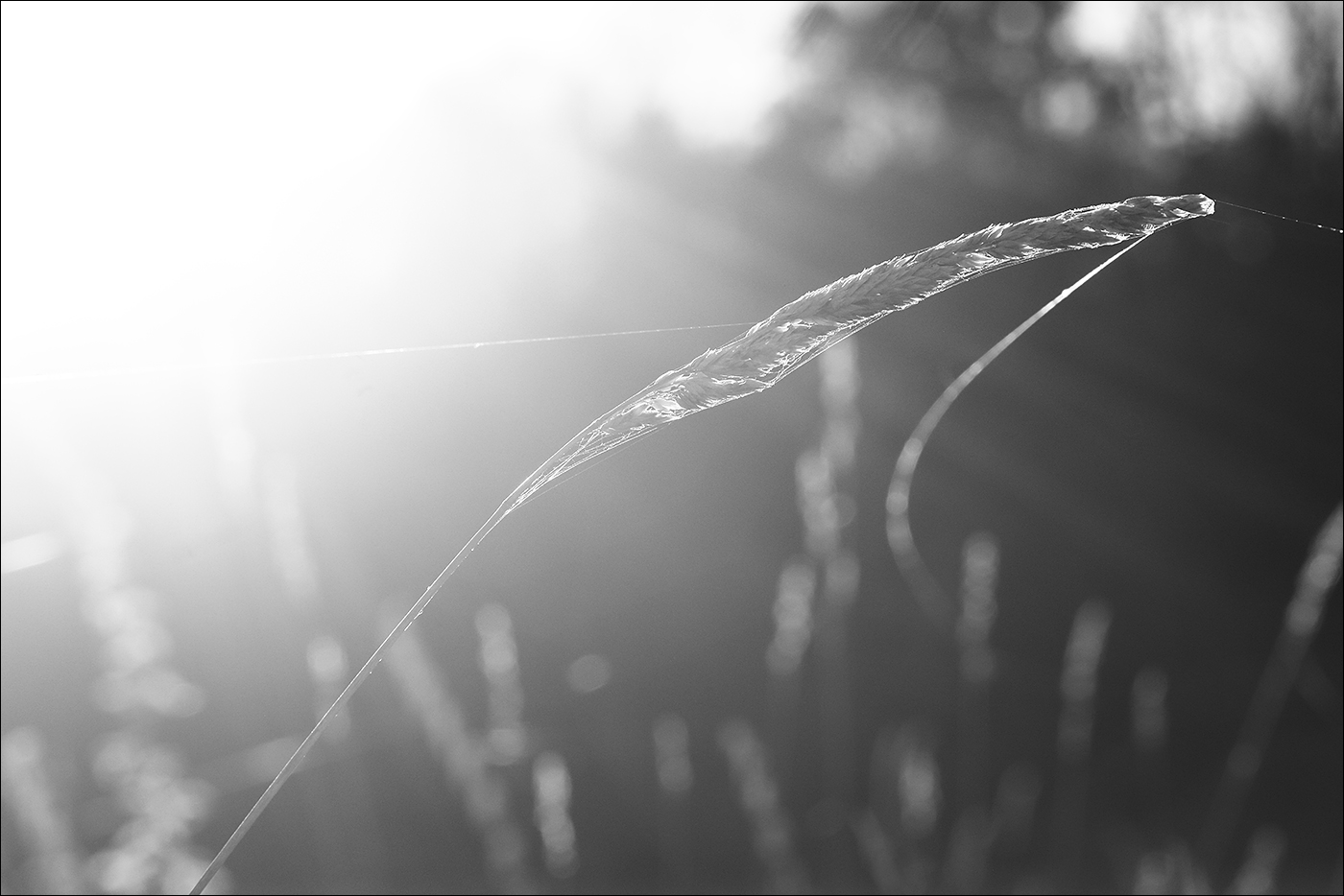 Moje podzimní nálady II