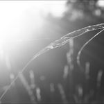 Moje podzimní nálady II