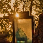 ranní pozdrav zahradní