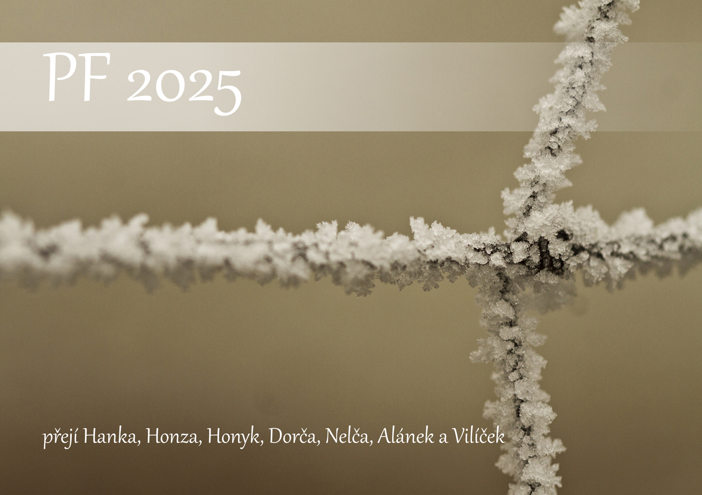 PF2025