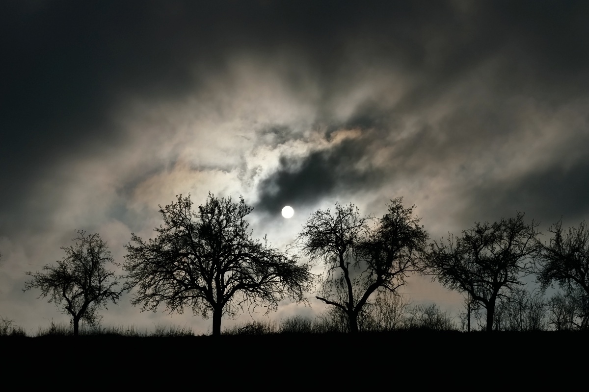 Když se mlhy válí