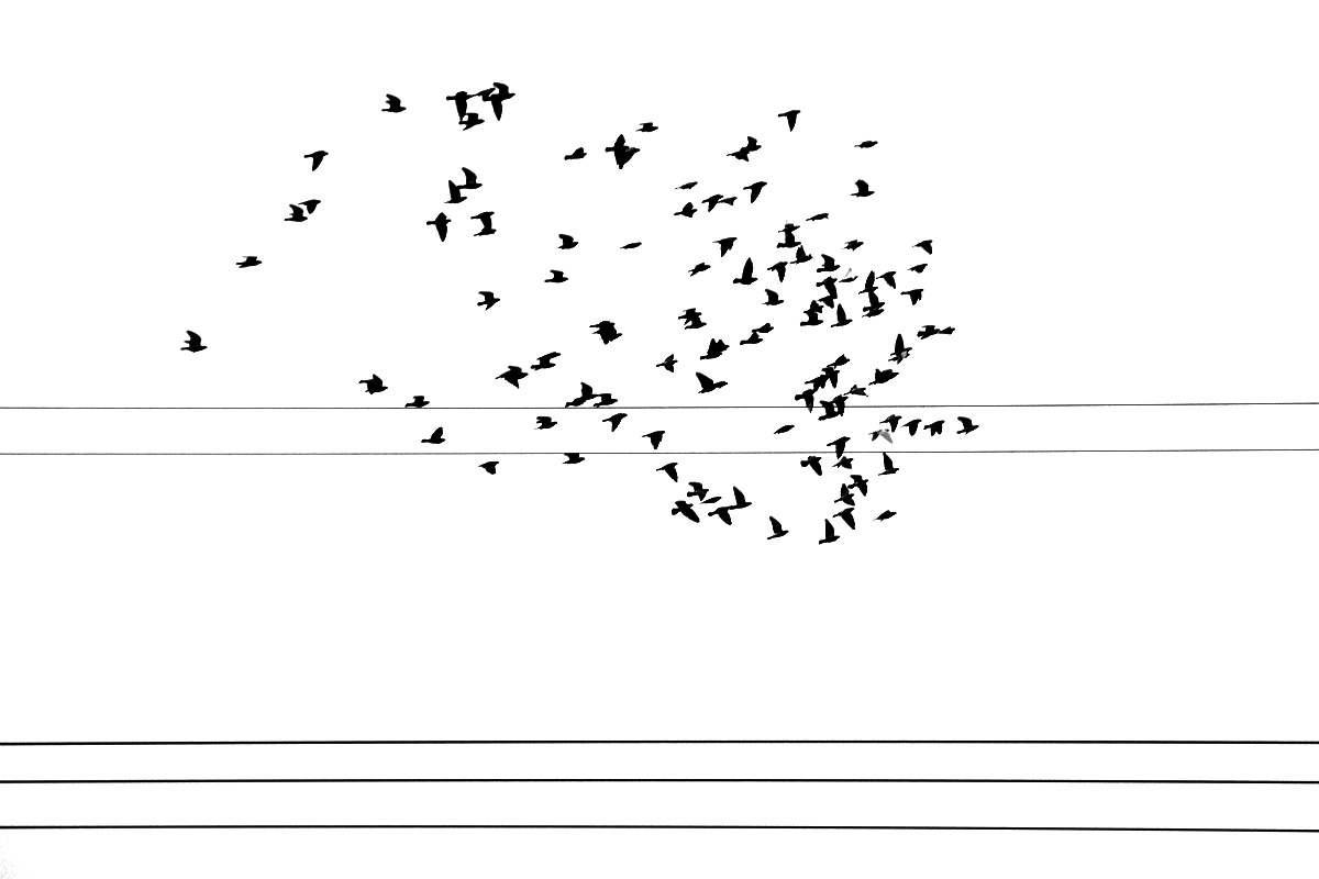 Letový den 2