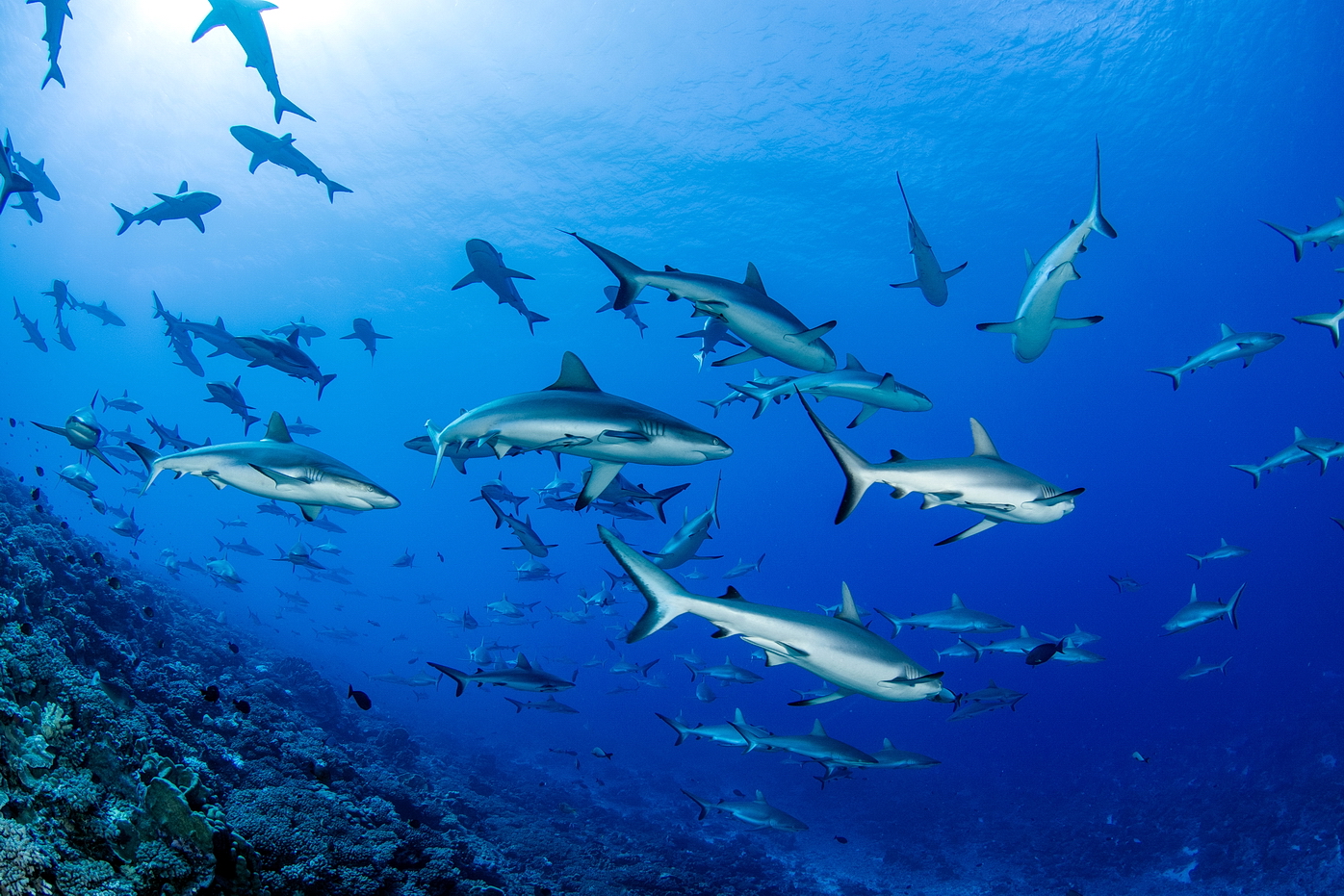 Just another day in the office