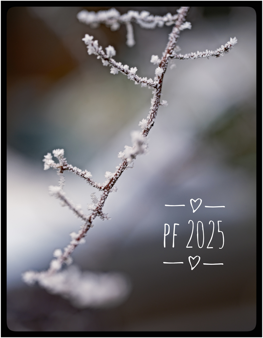 PF 2025