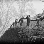 dneska na Kunětické hoře...