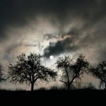 Když se mlhy válí