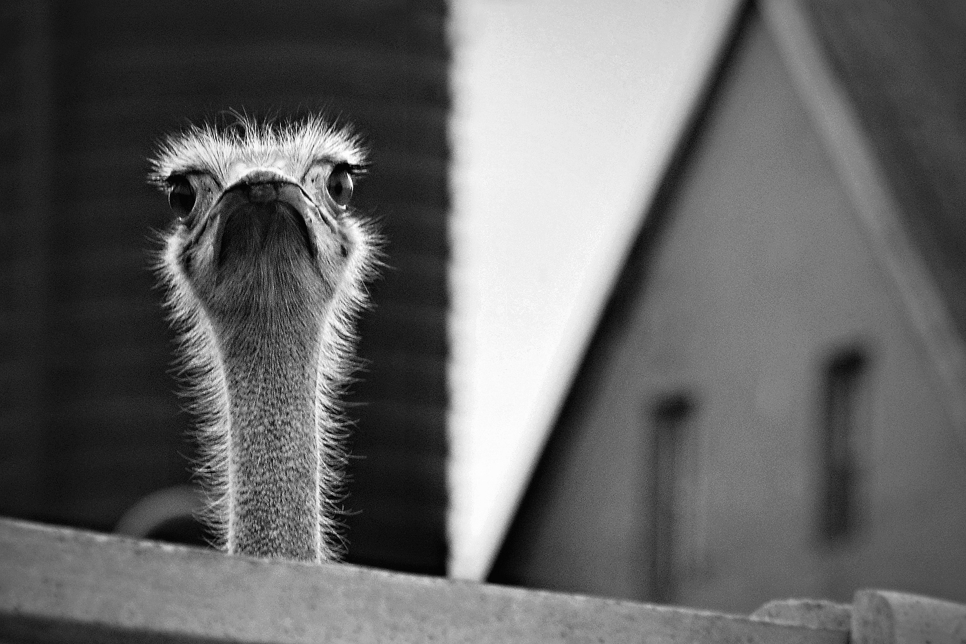 Tady hlídám já...