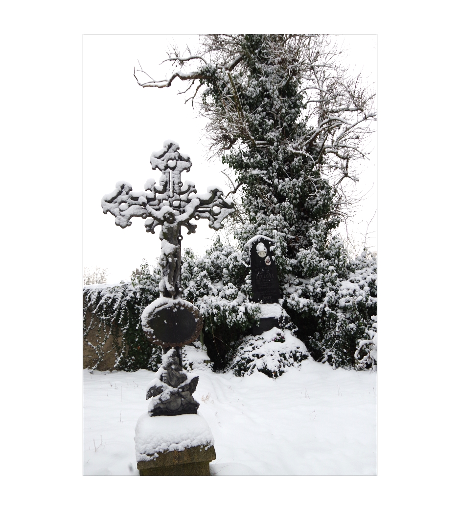 Zahrady ticha a zapomnění