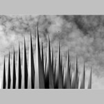 Praha stověžatá...