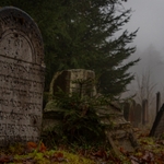 ...v mlhavé temnotě... 