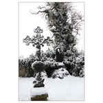 Zahrady ticha a zapomnění