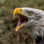 Čas, kdy máma volá k obědu.