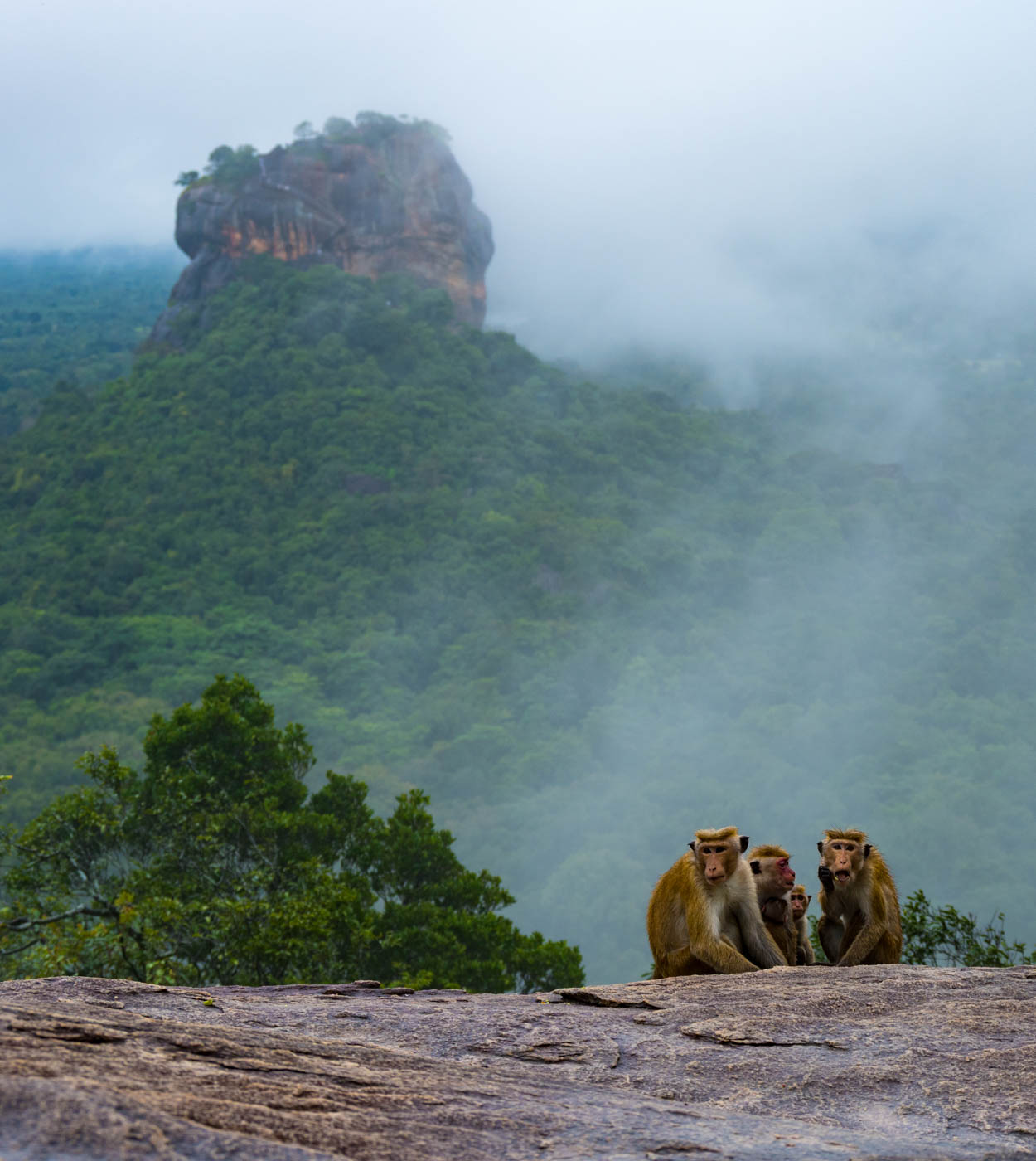 Sigiriya