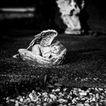 Pod ochranou křídel....