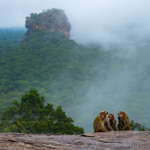 Sigiriya