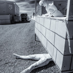 Bára na Kanároch so Stelou