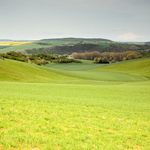 U Ždánického lesa