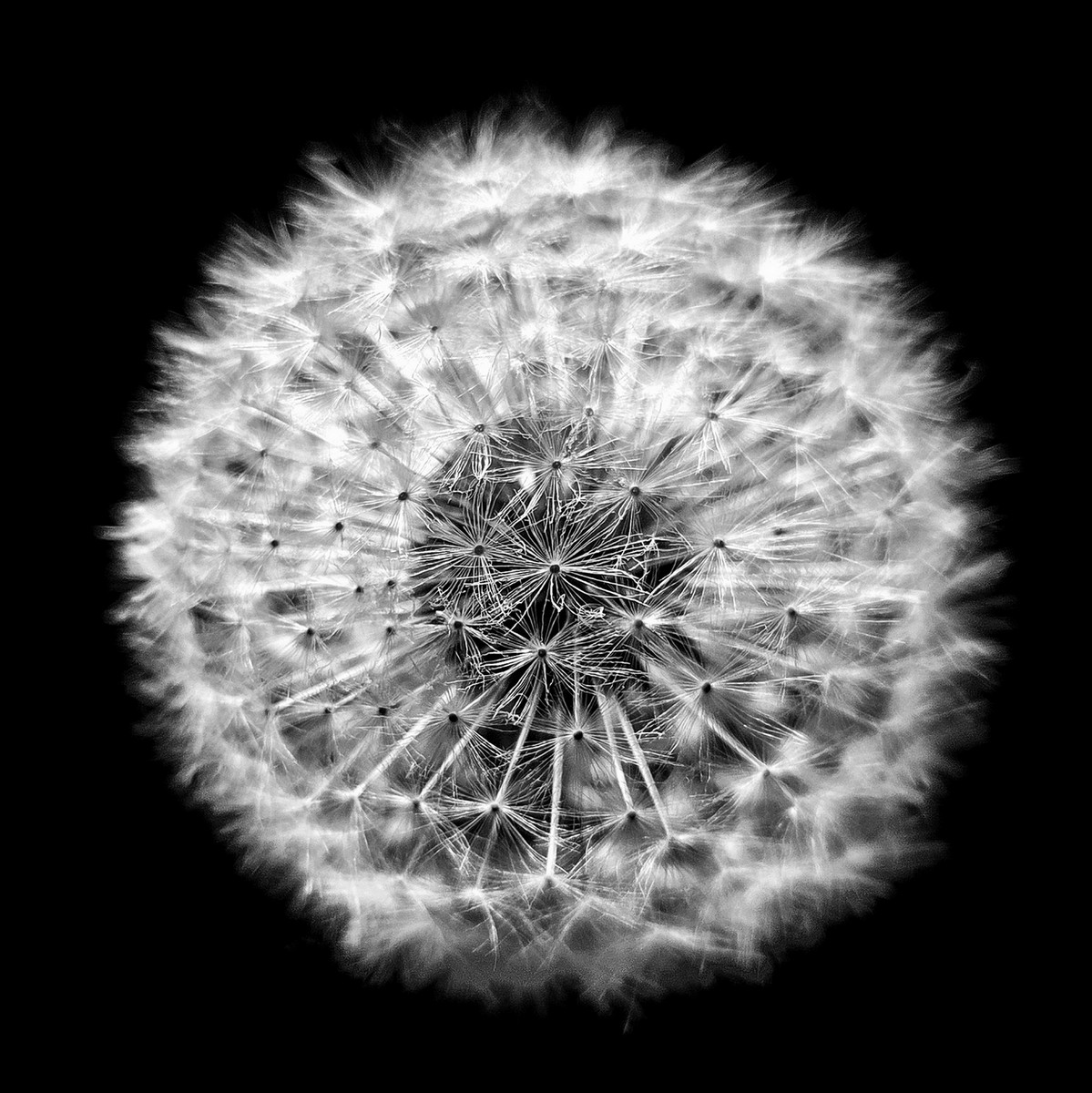 Čekání na vítr....