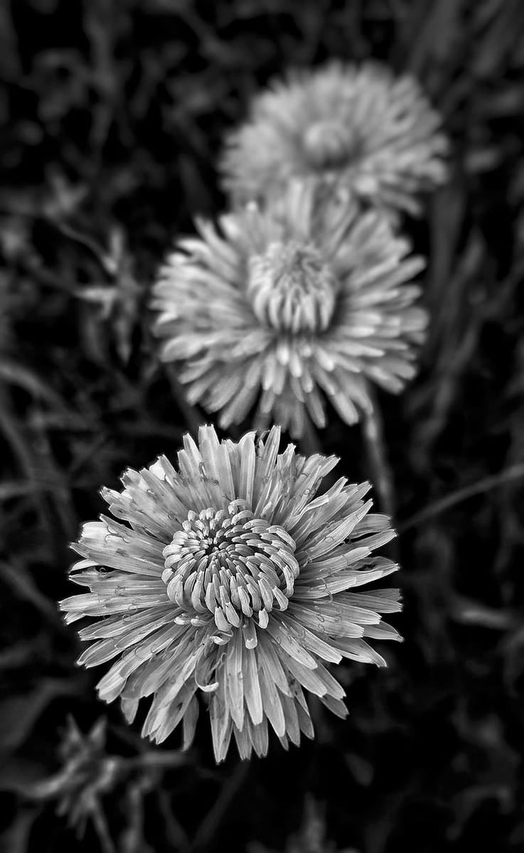 Do třetice všeho dobrého.... :o)