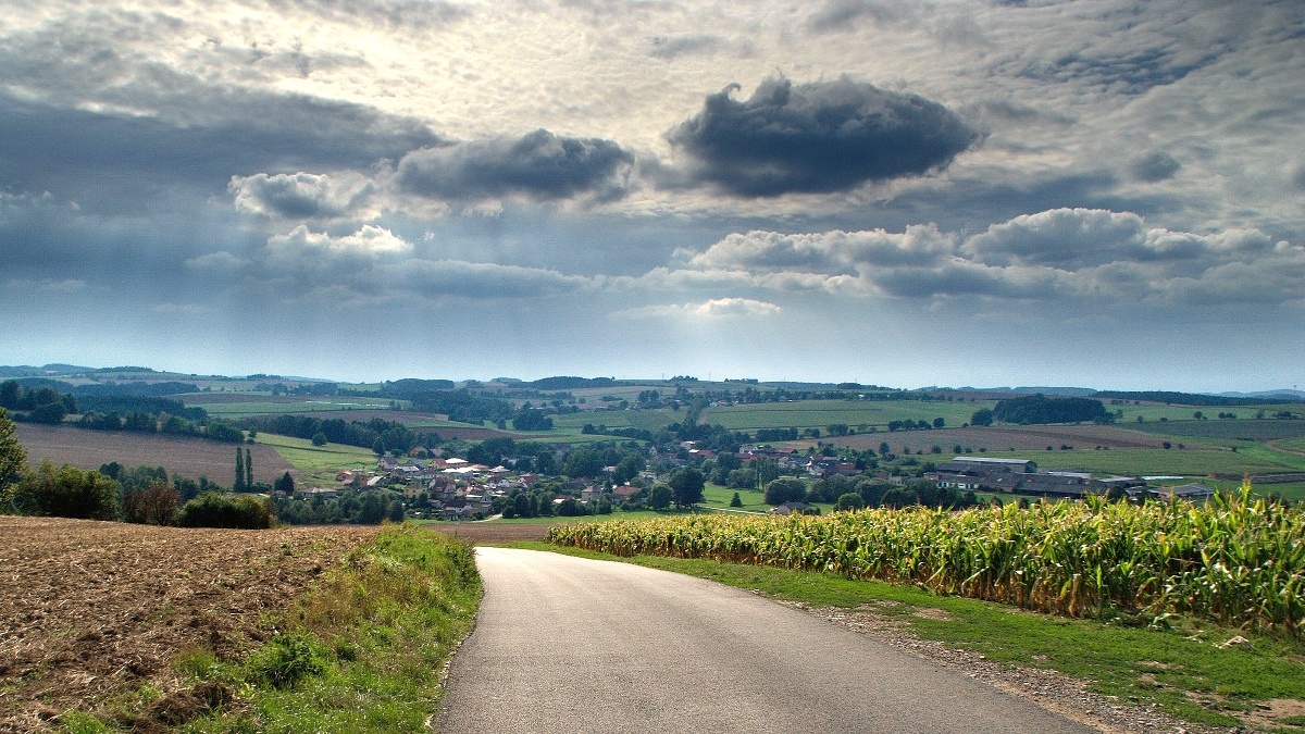 Vysočina u Okrouhličky