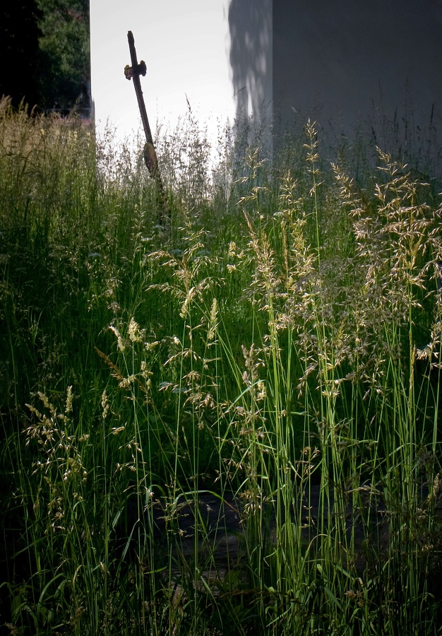 Zahrady ticha a zapomnění