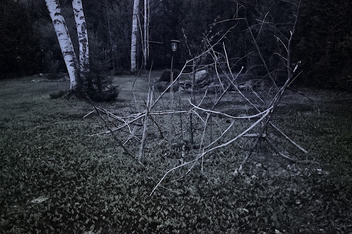 Tanec lesnich kostlivcu