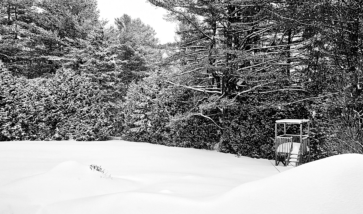 Mrazivy den u posedu