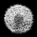 Čekání na vítr....