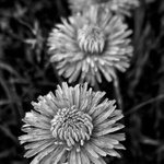 Do třetice všeho dobrého.... :o)