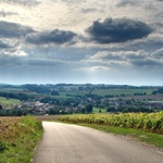 Vysočina u Okrouhličky