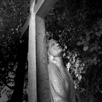 Zahrady ticha a zapomnění