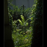 Zahrady ticha a zapomnění