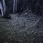 Tanec lesnich kostlivcu