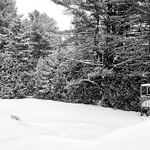 Mrazivy den u posedu