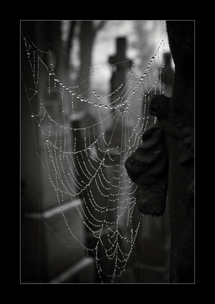 Zahrady ticha a zapomnění