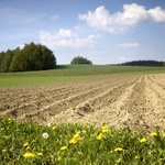 Vysočina u Zbožice