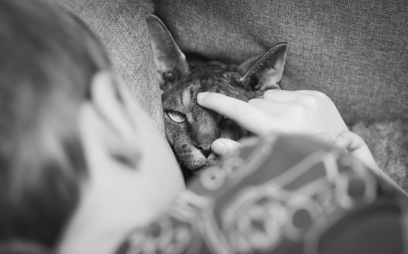 BFF