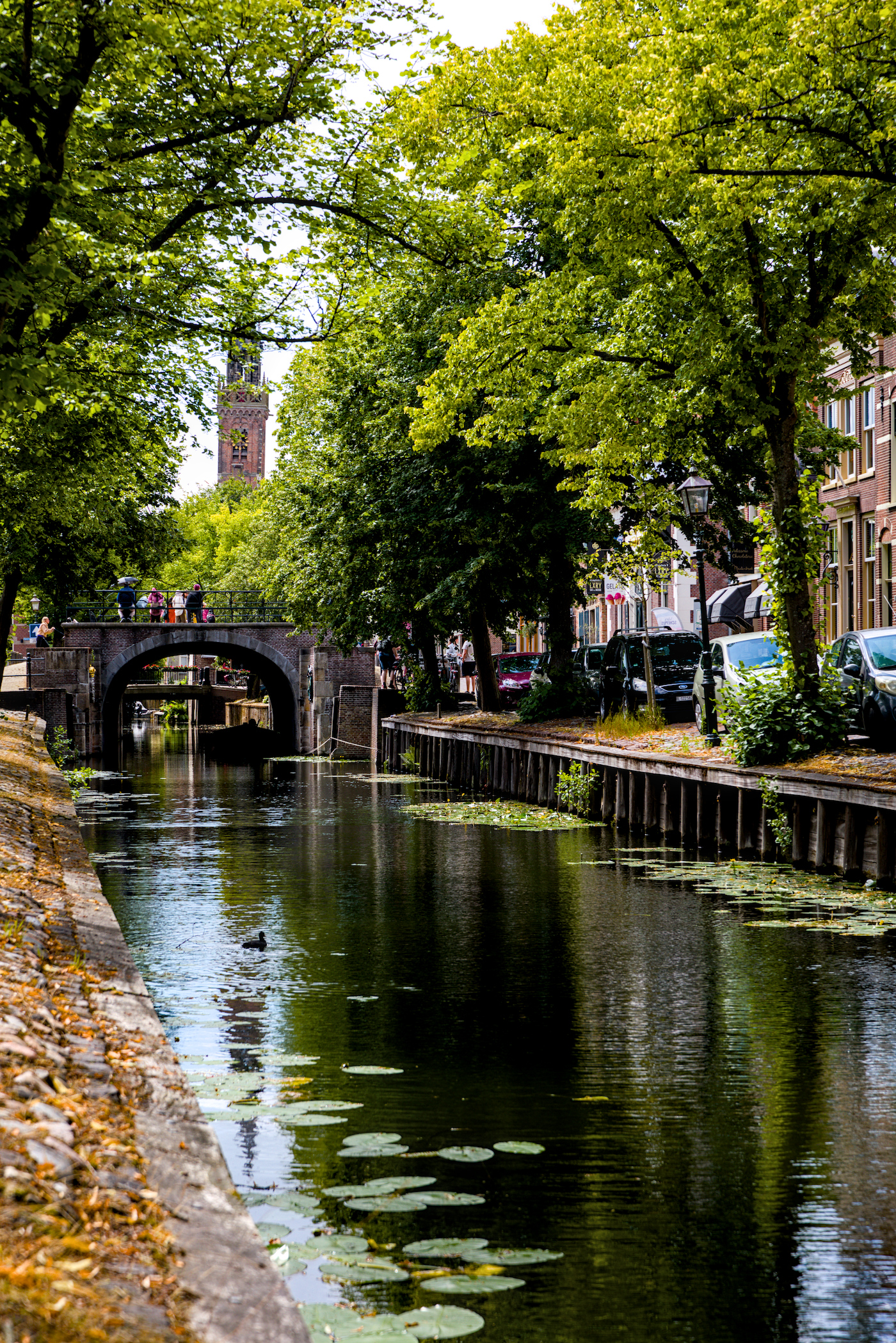 Edam