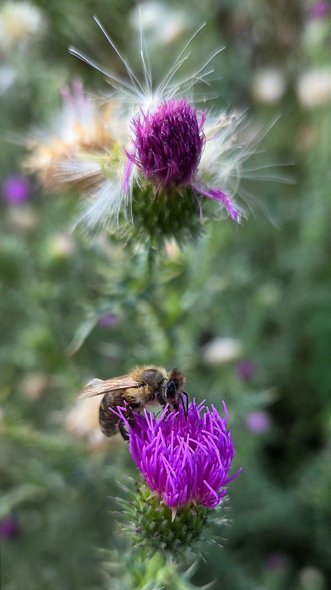 Furt v práci .... :o)