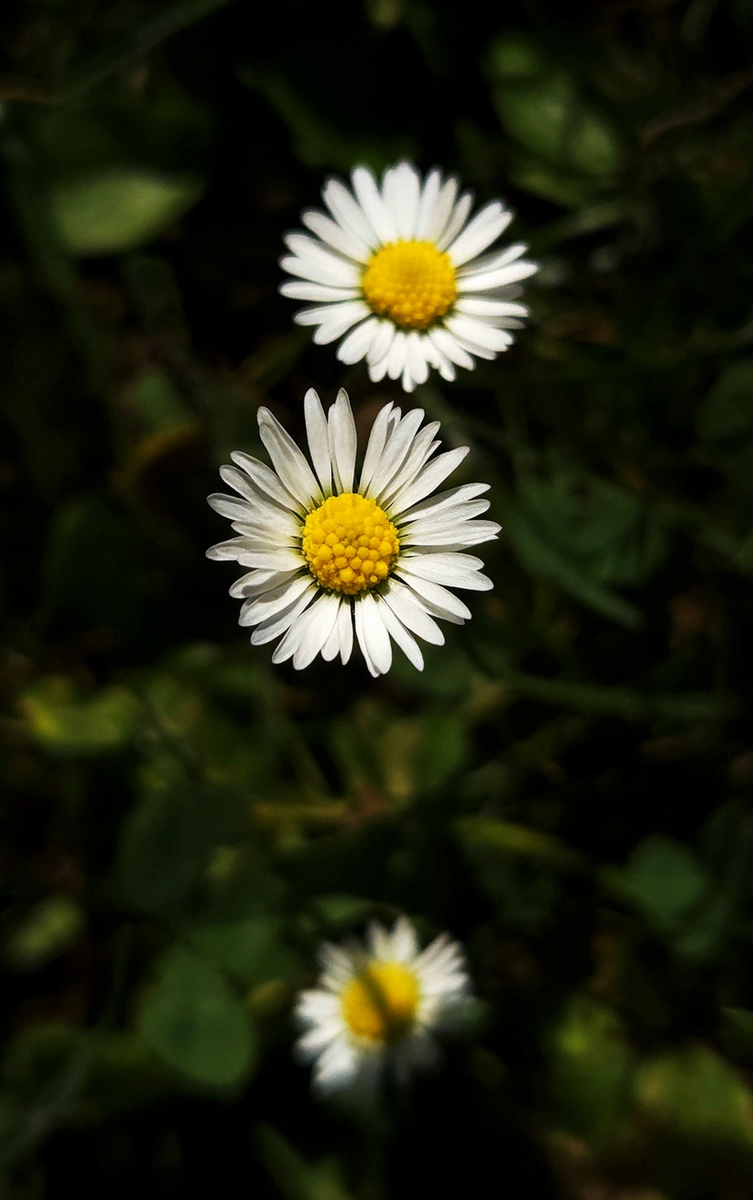 A co ten třetí vzadu.... :o)