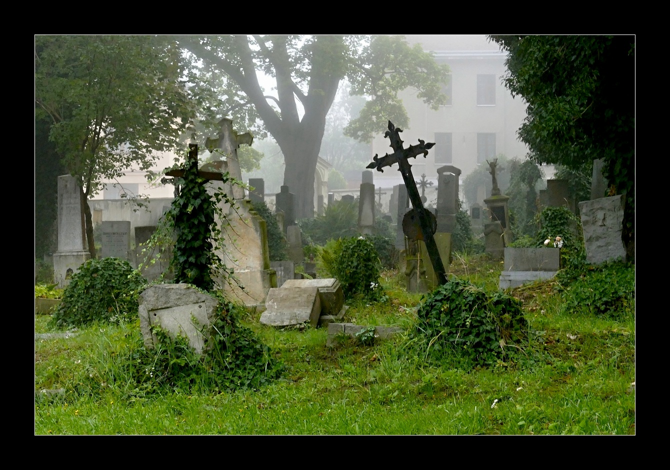 Zahrady ticha a zapomnění