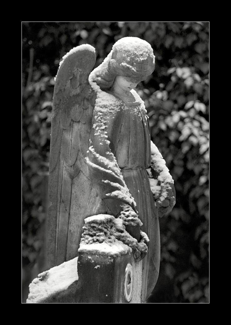 Zahrady ticha a zapomnění