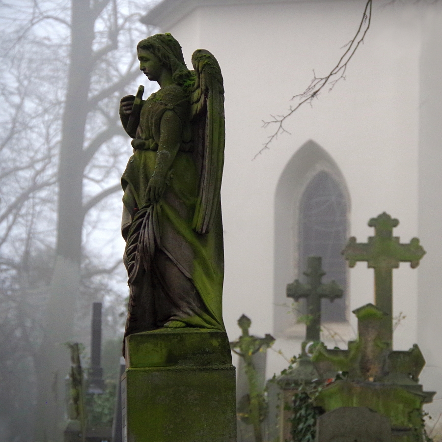 Zahrady ticha a zapomnění