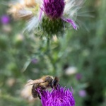 Furt v práci .... :o)