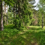 ...les s tisícem krás...