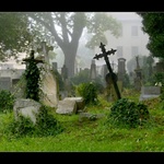 Zahrady ticha a zapomnění