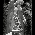 Zahrady ticha a zapomnění